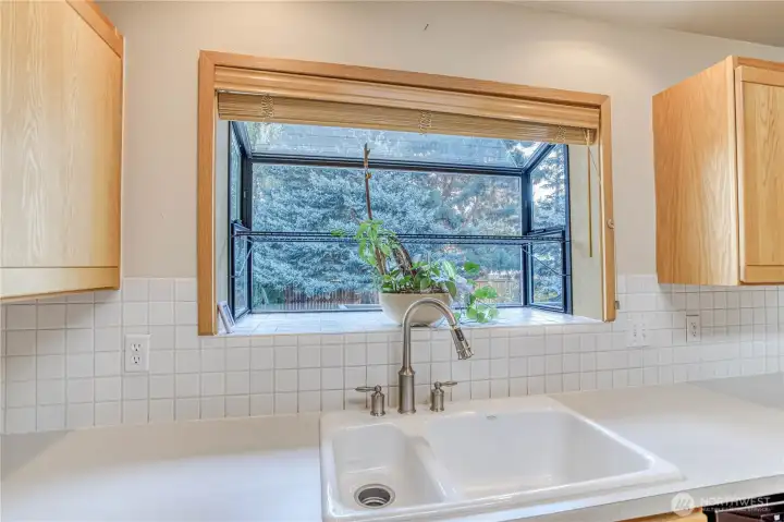 Kitchen garden window