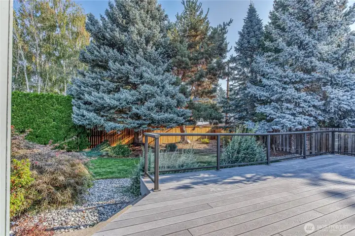 Private backyard