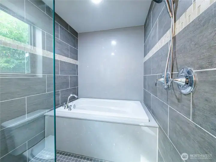Soaker tub and shower
