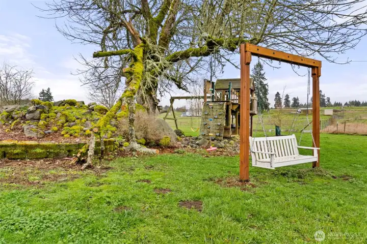 Catch some shade and a view or Mt. Rainer on a clear day from the swing under the tree.