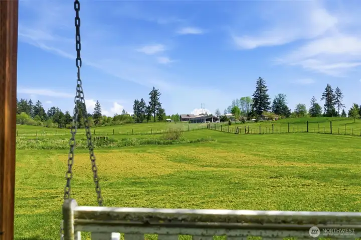 You can see Mt Rainier on a clear day.