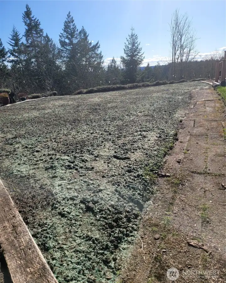 Newly seeded and much larger useable backyard space. (After new septic work was completed.)