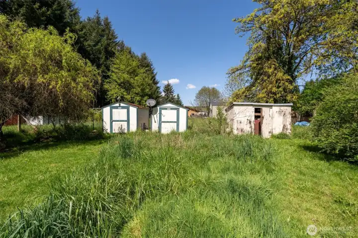 Back Yard with Outbuildings