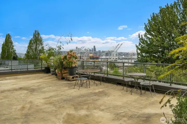 Be the envy of all your friends on 4th of July!