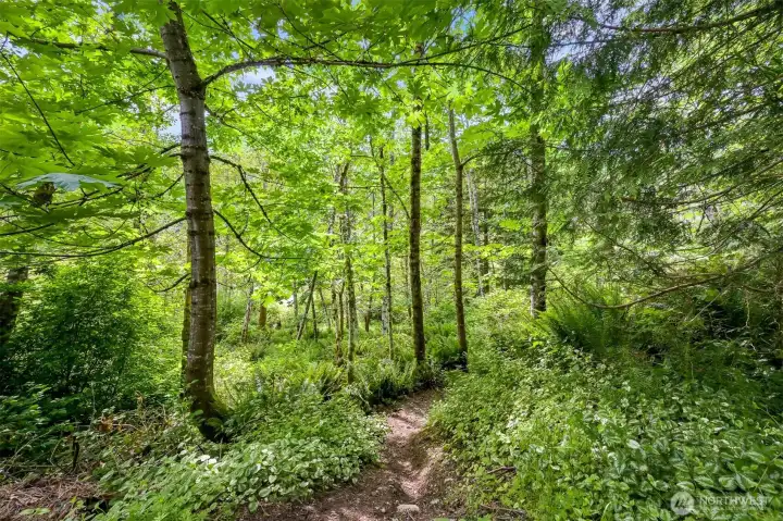 Trail ~100 yards away