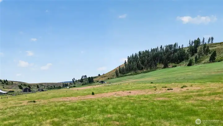 Territorial Views
