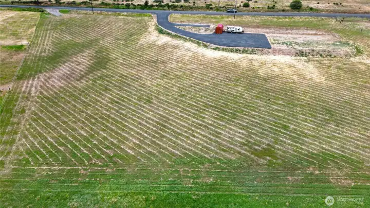 Arial View