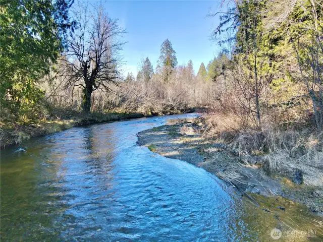 Dewatto River