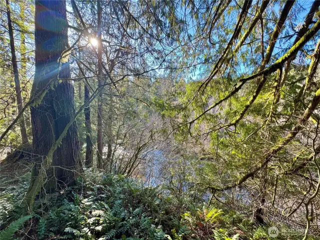 View of river.