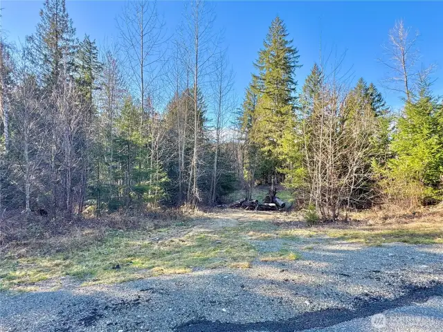 NE corner of property.