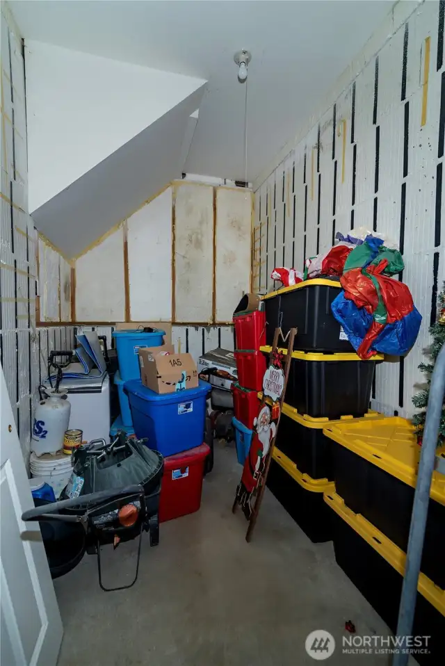 Possible wine cellar or cold storage off of garage