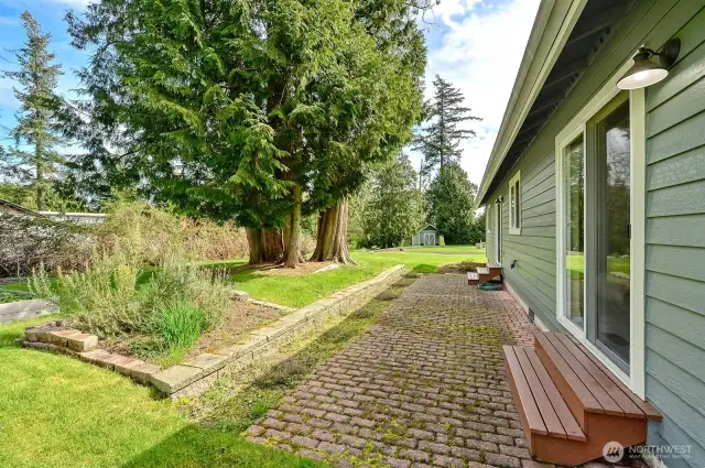 Back Patio
