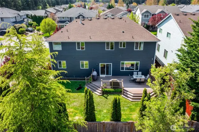 arial backyard