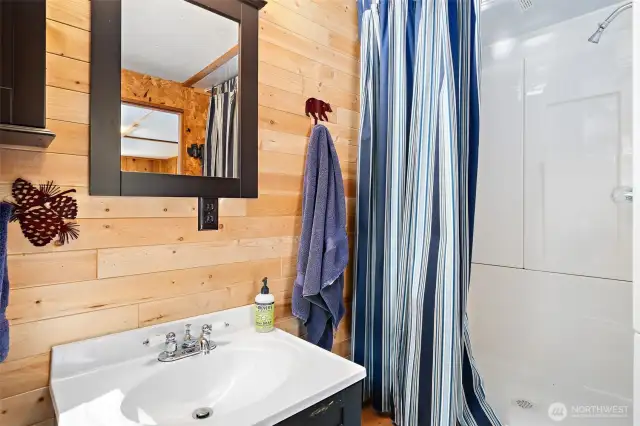 Guest Shower Too!