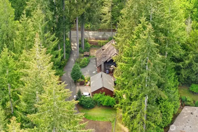An Aerial View