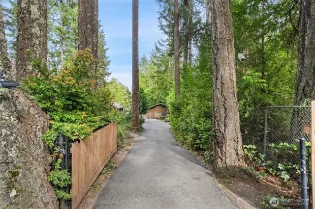 Tree Lined Drive Entry