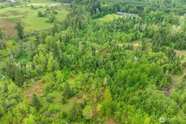 Arial View Area