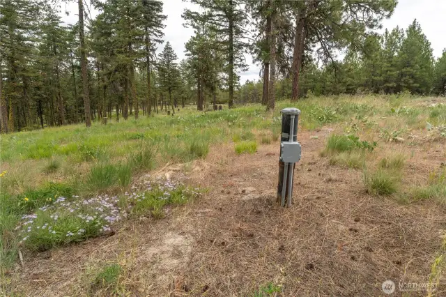 Individual well.