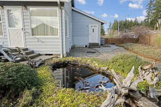 Pond with Fish