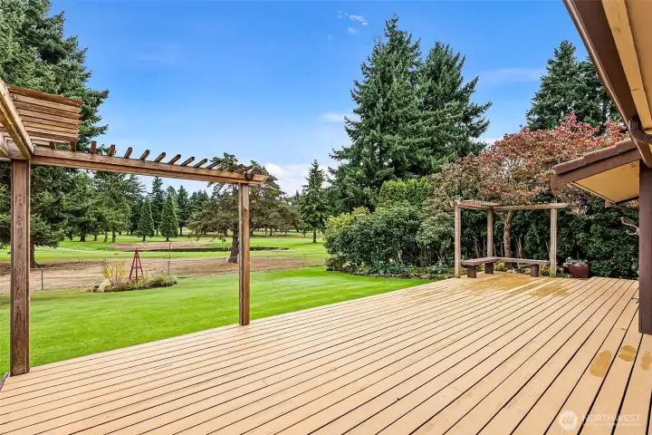 Enormous deck leading to the backyard.