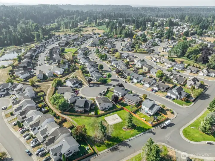 Neighborhood Overview