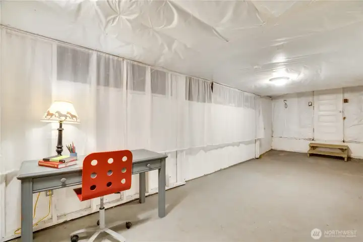 There's a lot of room for storage down here and space for a ping pong table too. The door in this photo opens to the sidewalk along D Street.