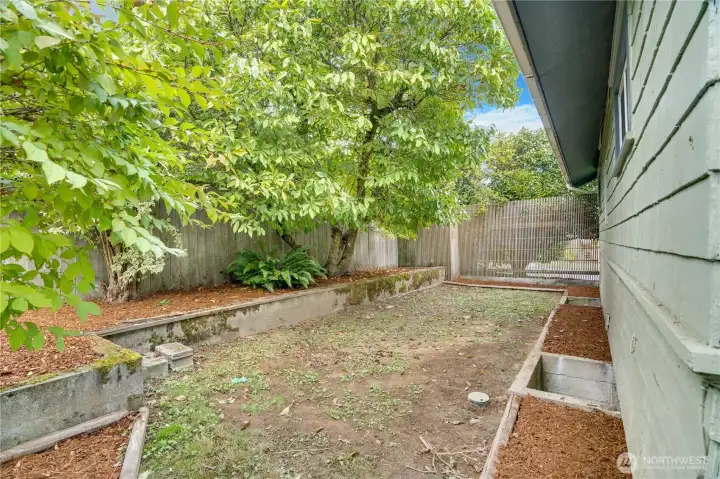 On the west side of the house a magnolia, fern, and weigela bush grow along the border.