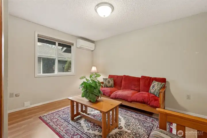 Mini split heats and cools