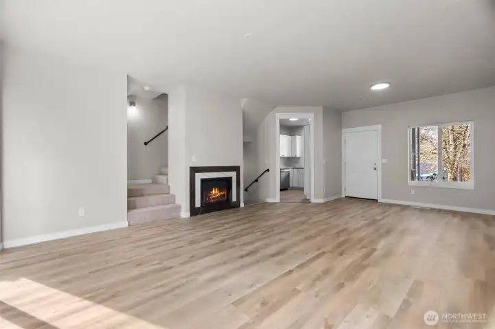 Natural gas Fire Place