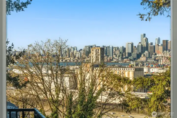 Views from the primary bedroom window.  Downtown on full display.  Trees in the foreground slated for removal in relation to the coming light rail.