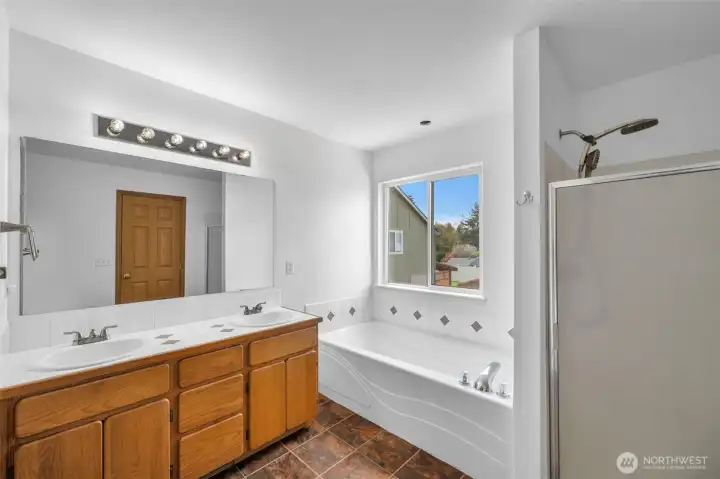 Double sink, tub and shower