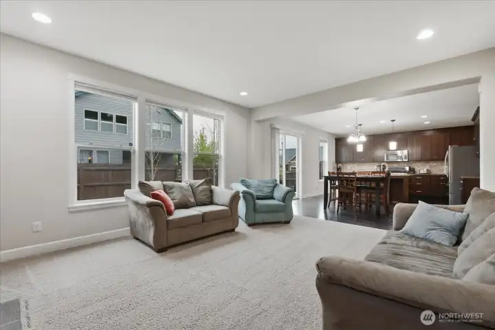 Family room, carpet, gas fireplace, view to backyard