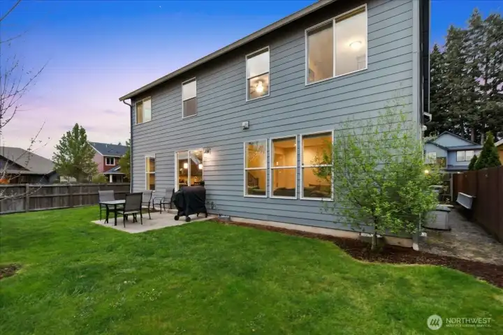 Backyard, patio, fully fenced