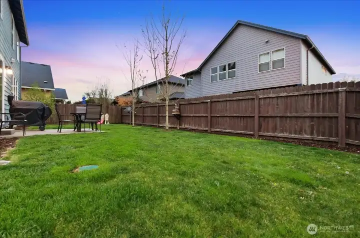 Backyard, patio, fully fenced