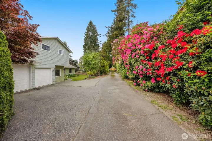 Beautiful driveway entry into your new home