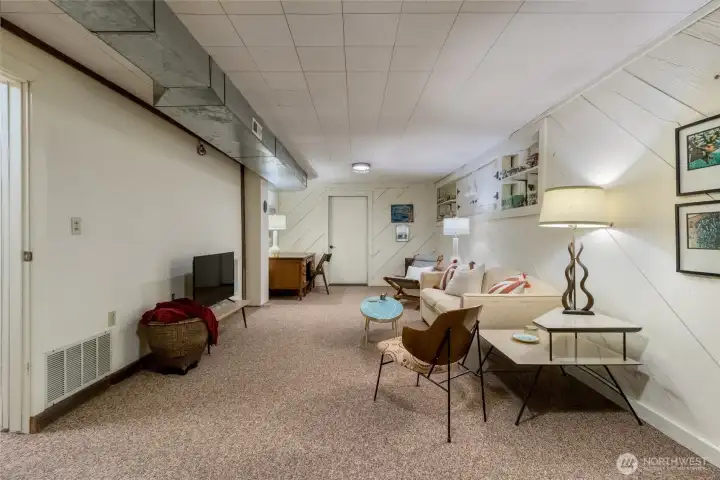 Downstairs Recreation Room