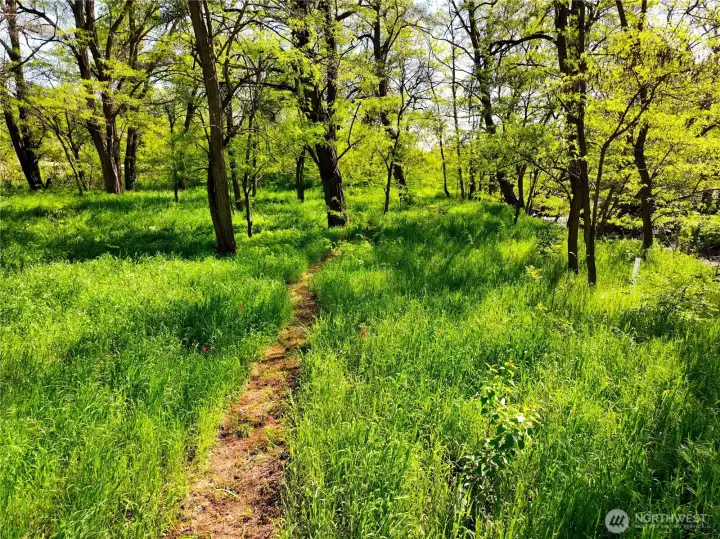 Walking trails throughout the property