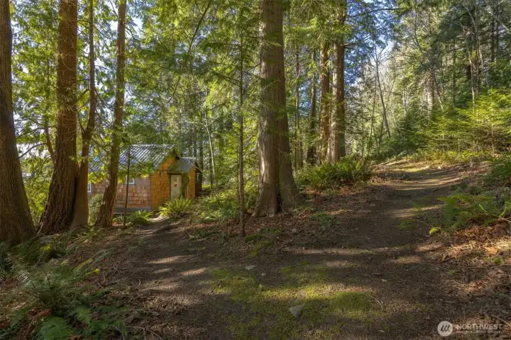 Looking down toward the entry from the trail, at the upper portion of the property. Looking down toward the entry from the trail, at the upper portion of the property.
