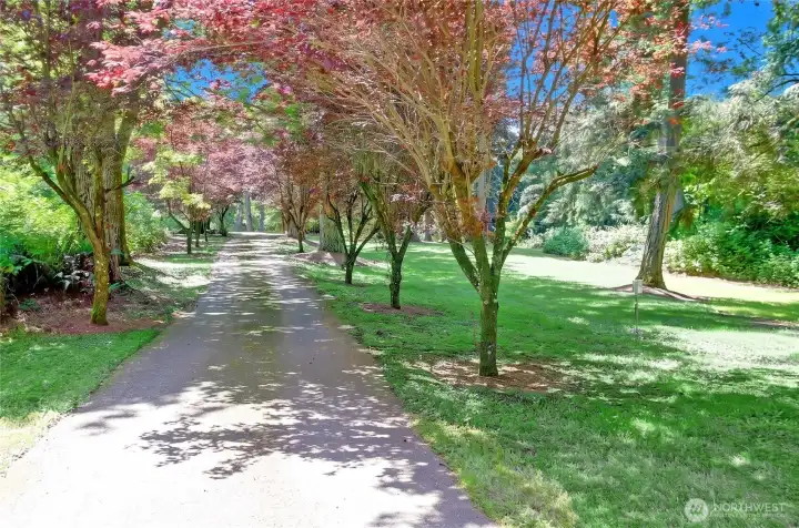 The paved driveway wanders through the trees to your private estate.