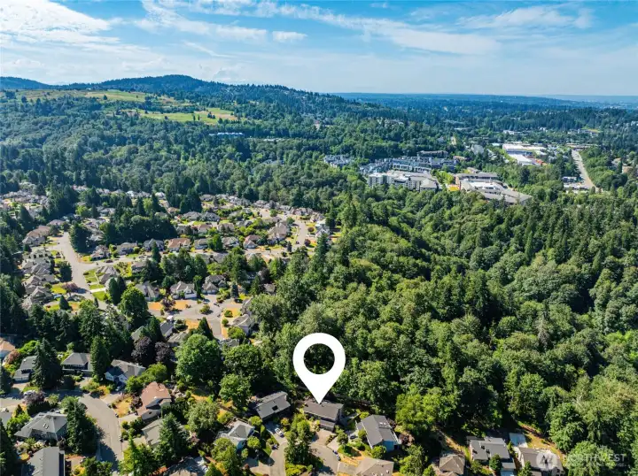 Prime Forest Ridge location!
