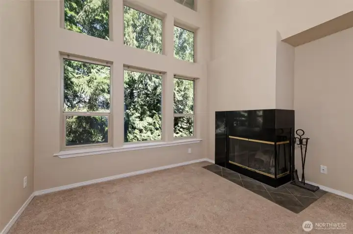 UNIQUE WINDOW TREATMENT WITH CORNER FIREPLACE