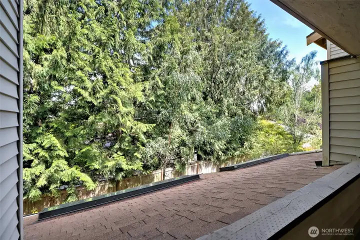 COVERED DECK WITH EVERGREENS PROVIDING PRIVACY