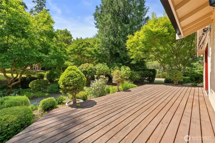 Back Deck Back Deck