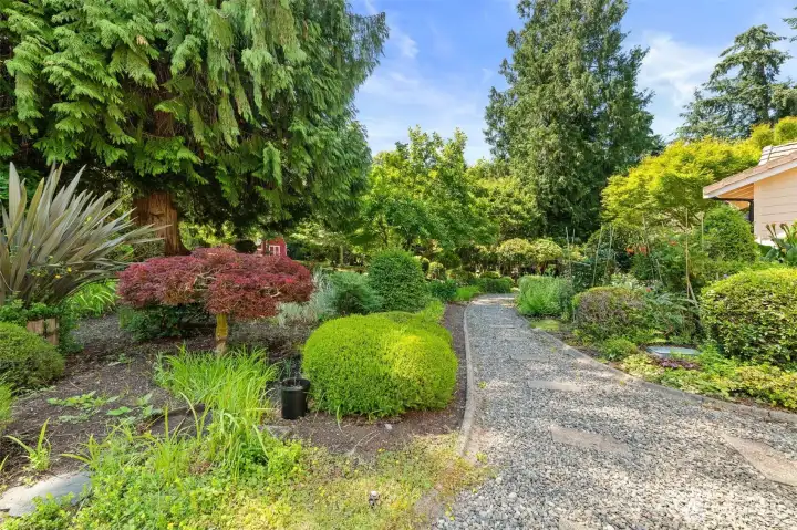 Side yard Side yard