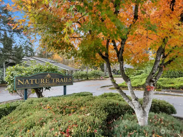 Nature Trails Townhomes, also known as Springwood Townhome Condos