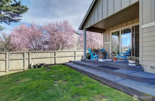 Backyard/covered patio