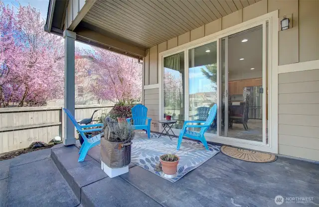 Backyard/covered patio