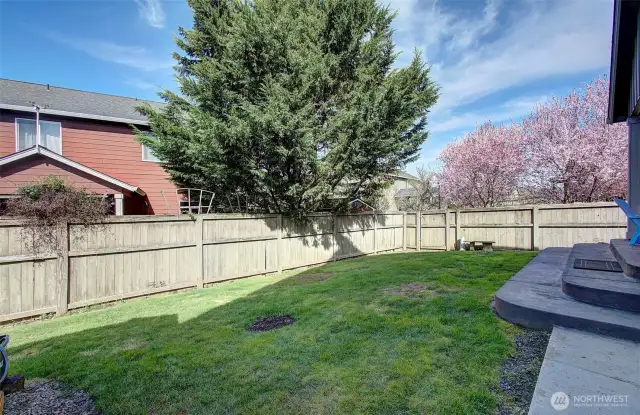 Yard