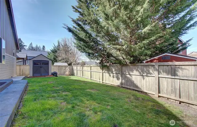 Side yard