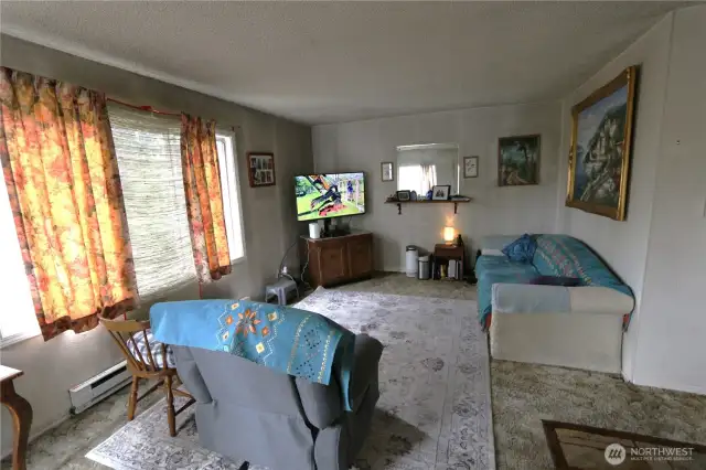 Alternate view of the living space.